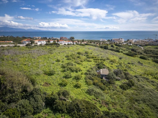  Plot in La Duquesa