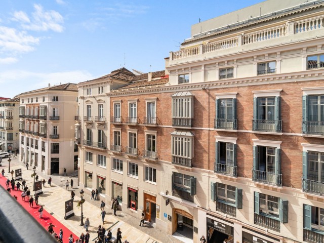 1 Bedrooms Apartment in Málaga Centro