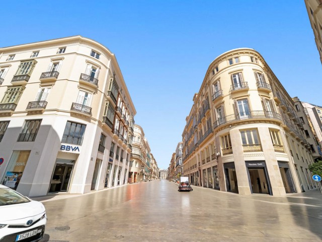 1 Bedrooms Apartment in Málaga Centro