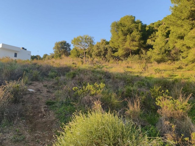  Parcelle à Mijas