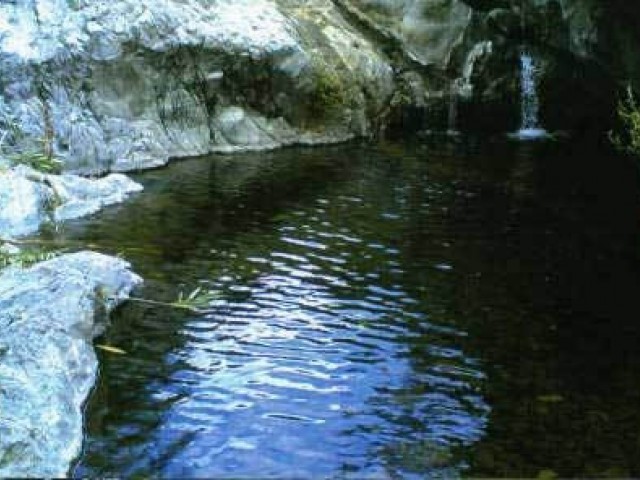 Villa avec 5 Chambres  à Estepona