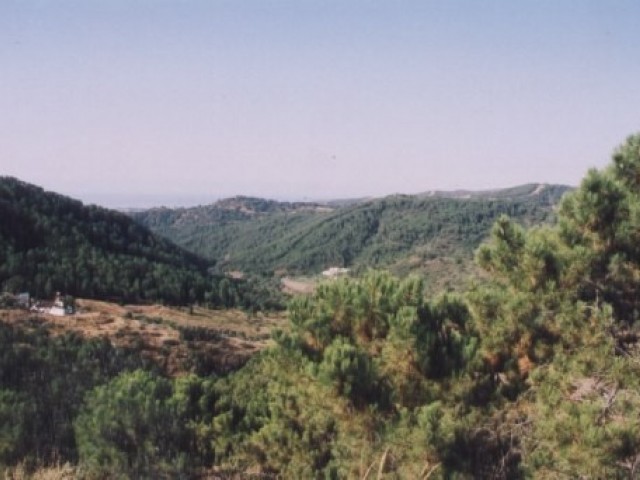 Villa avec 5 Chambres  à Estepona