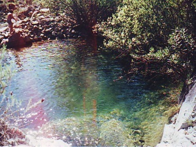 Villa avec 5 Chambres  à Estepona