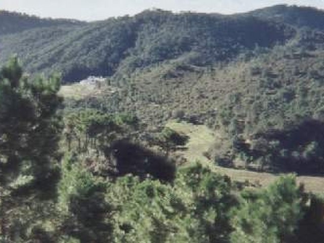 Villa avec 5 Chambres  à Estepona