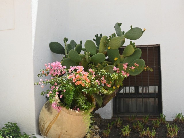 2 Bedrooms Apartment in Nueva Andalucía