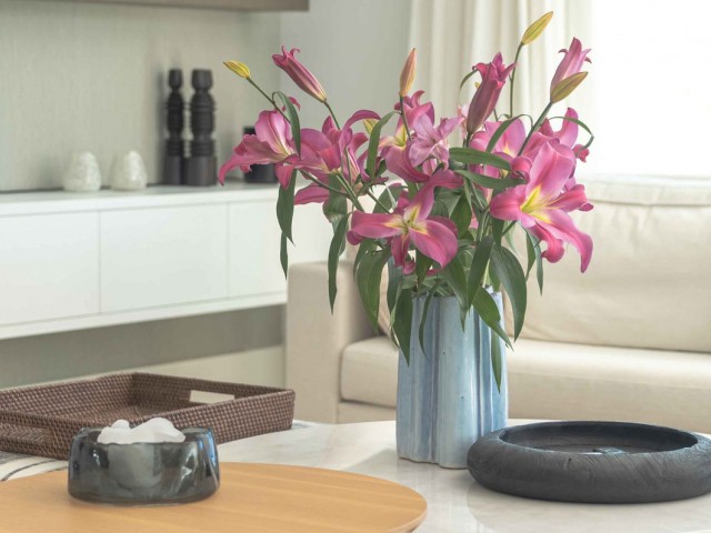 5 Bedrooms Villa in San Pedro de Alcántara