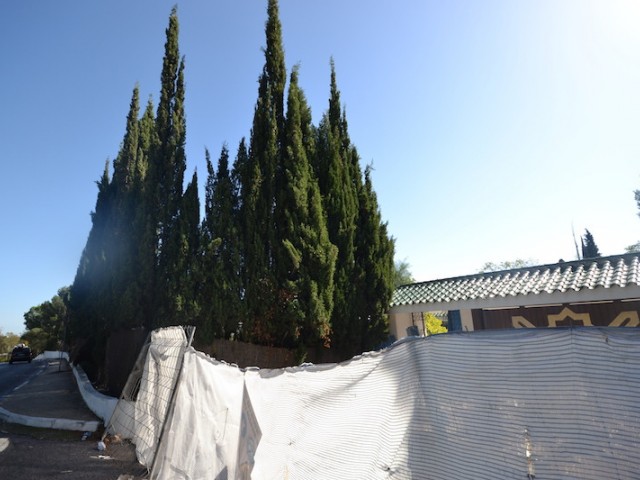 Tontti, Sierra Blanca, R2300330