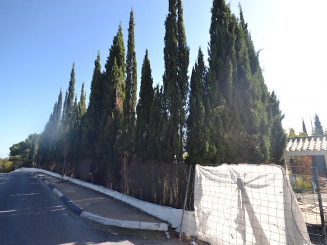 Tontti, Sierra Blanca, R2300330
