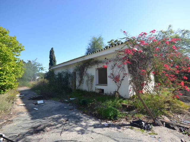 Tontti, Sierra Blanca, R2300330