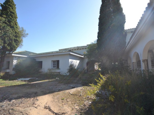  Tontti Sierra Blanca
