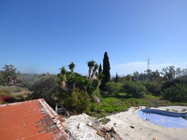  Tontti Sierra Blanca