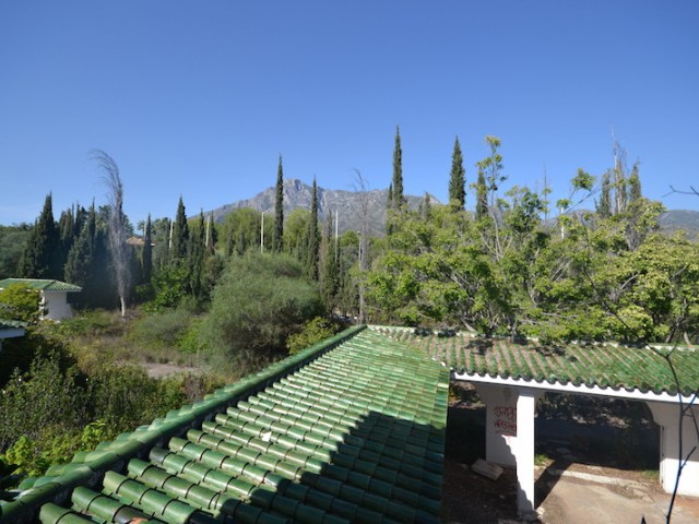  Tontti Sierra Blanca