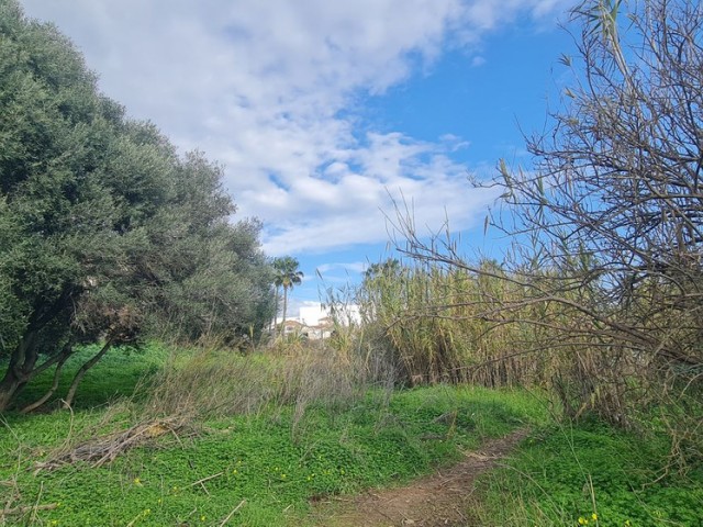  Plot in Campo Mijas