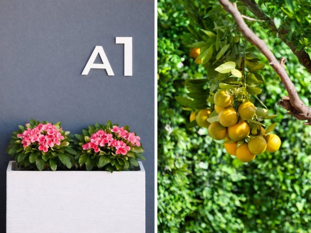 3 Schlafzimmer Villa in La Cala de Mijas