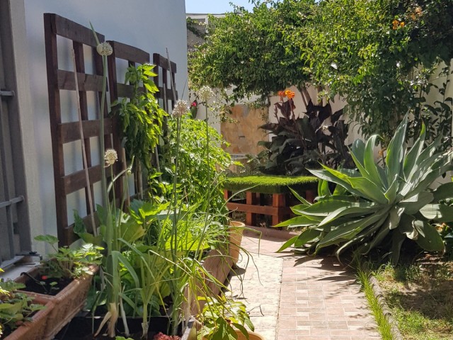 4 Bedrooms Villa in Estepona