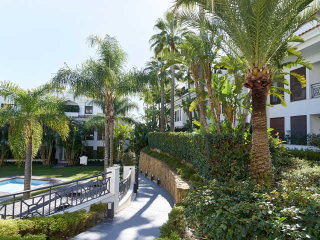 1 Bedrooms Apartment in Estepona