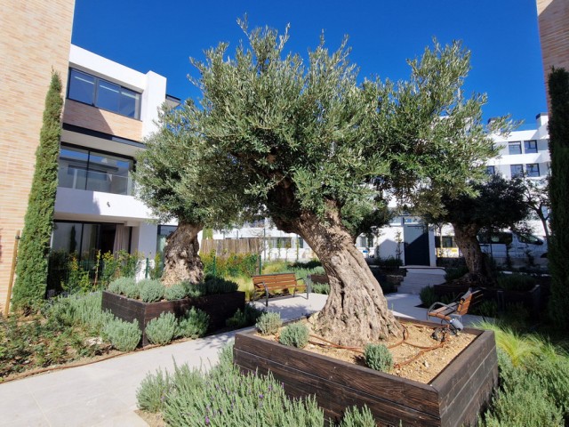 3 Bedrooms Apartment in Estepona