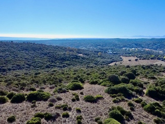  Grundstück in Sotogrande