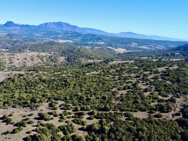  Grundstück in Sotogrande