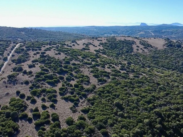  Grundstück in Sotogrande