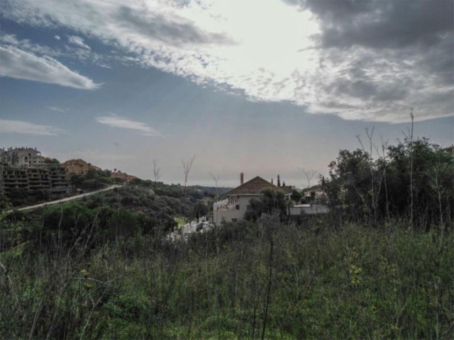  Plot in Elviria