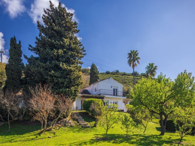 Liikekiinteistö Casares