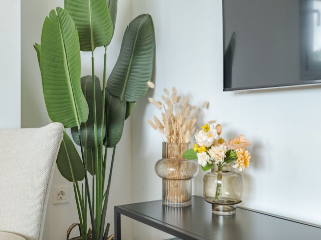 3 Bedrooms Apartment in Mijas