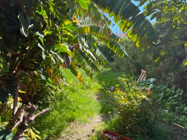 5 Bedrooms Townhouse in Estepona