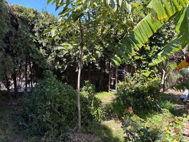 5 Bedrooms Townhouse in Estepona