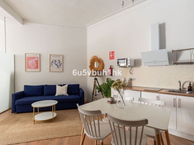 3 Schlafzimmer Apartment in Málaga