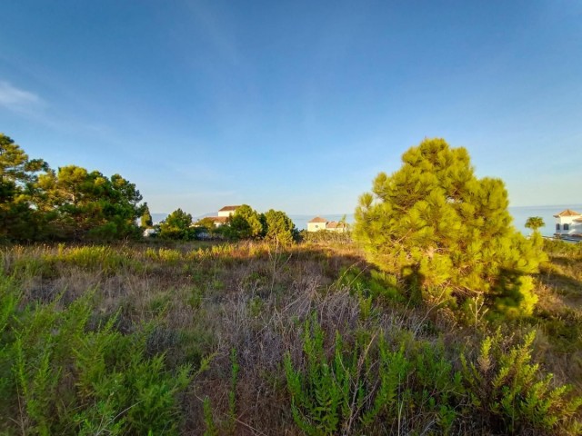  Plot in Manilva