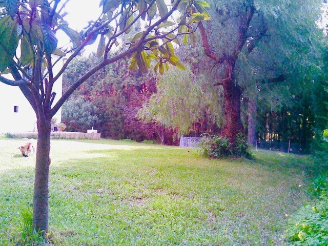 3 Soveroms Villa i Atalaya