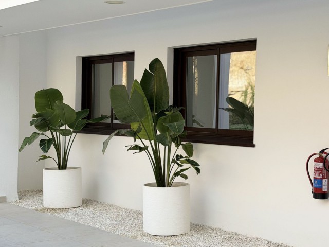 2 Schlafzimmer Apartment in Fuengirola