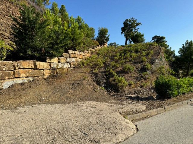  Parcelle à La Zagaleta