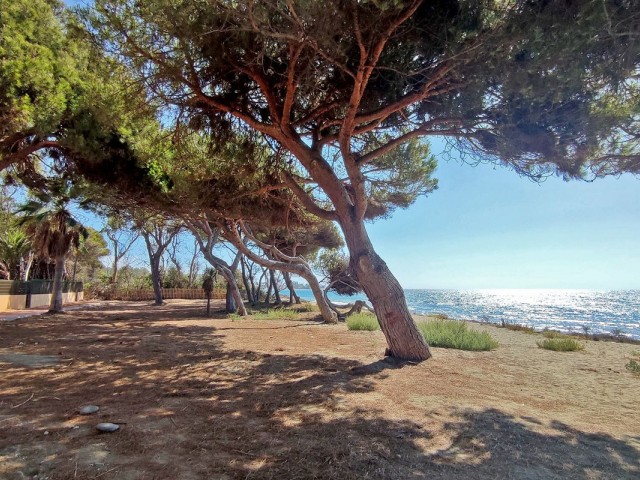 Appartement avec 4 Chambres  à New Golden Mile