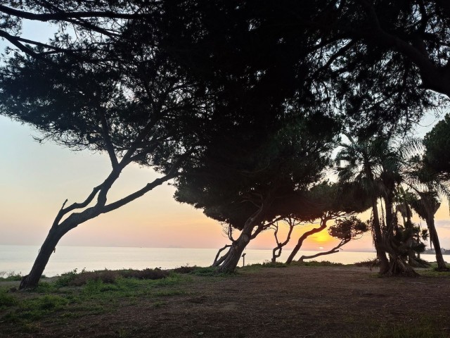 Appartement avec 4 Chambres  à New Golden Mile