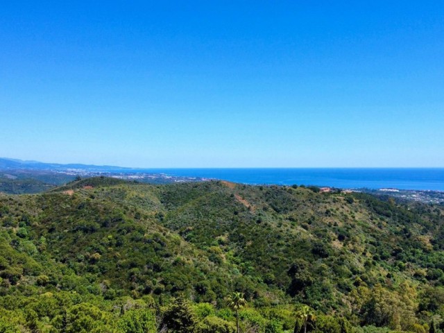  Grundstück in Estepona