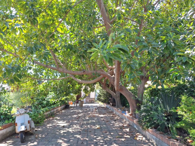 3 Bedrooms Villa in Estepona