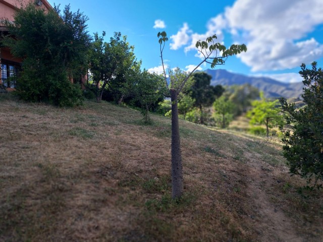 4 Soveroms Villa i Entrerrios