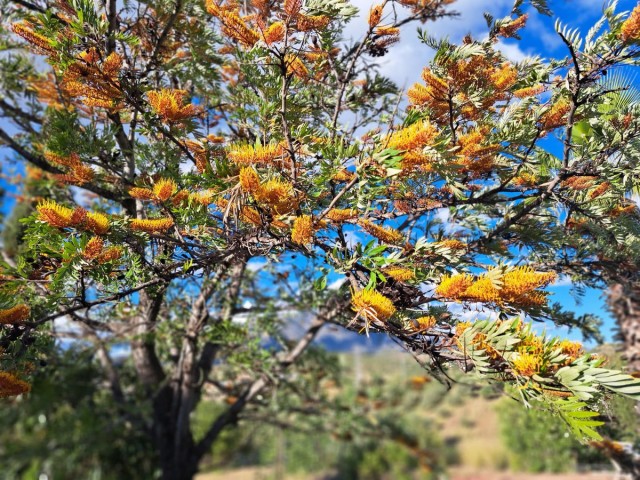 4 Soveroms Villa i Entrerrios