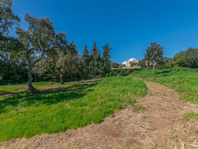  Tomt i Sotogrande Alto