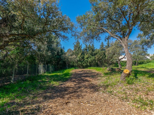  Tomt i Sotogrande Alto