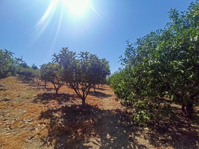 3 Makuuhuoneen Huvila Estepona