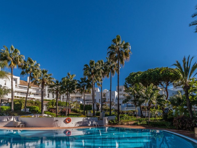 Penthouse, Elviria