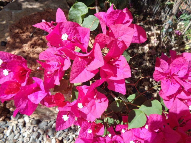 4 Makuuhuoneen Huvila Alhaurín de la Torre