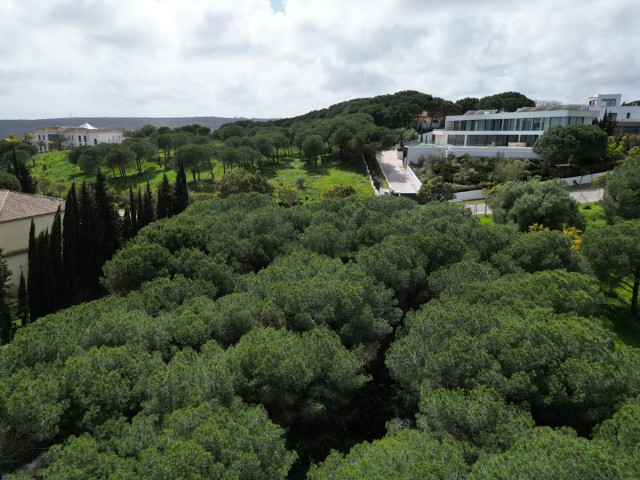  Parcelle à Sotogrande