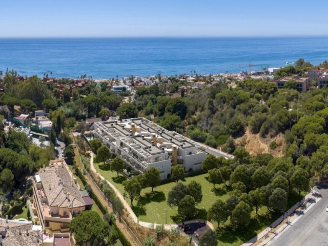 Penthouse, Elviria