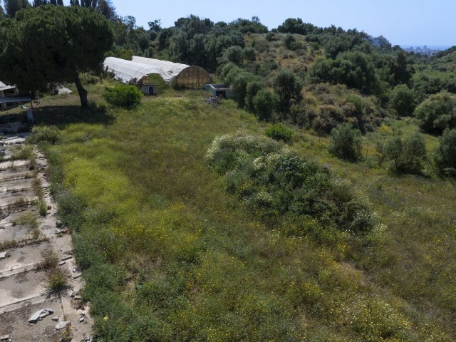  Plot in Mijas