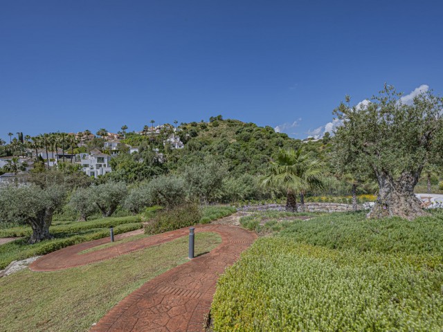Penthouse avec 2 Chambres  à Nueva Andalucía