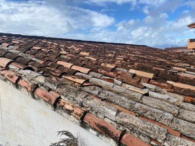  Plot in Los Pacos
